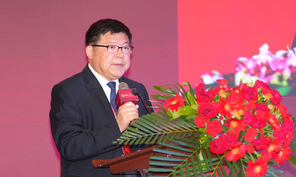 品牌營銷-副理事長發(fā)言 品牌營銷-副理事長發(fā)言