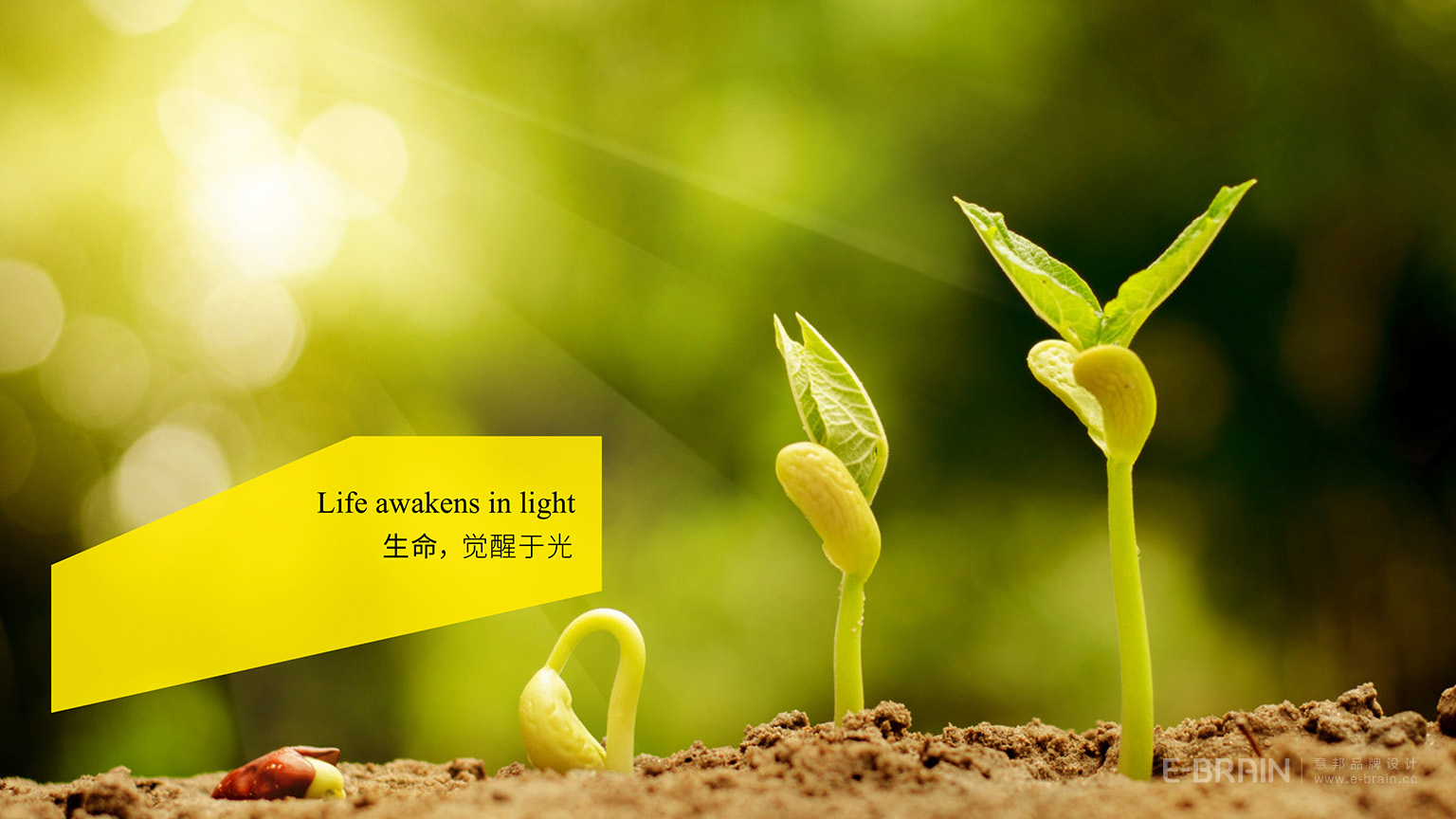 特殊學(xué)校品牌設(shè)計