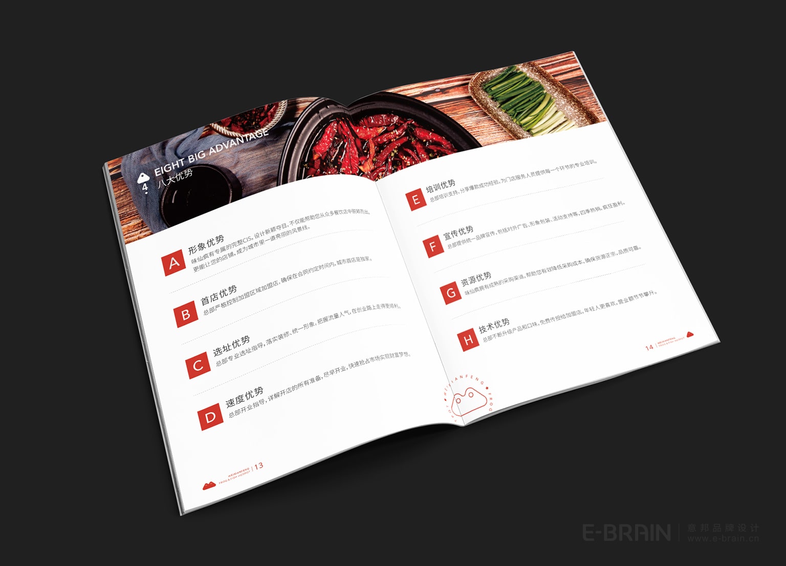 宣傳畫(huà)冊(cè)設(shè)計(jì) 宣傳畫(huà)冊(cè)設(shè)計(jì)