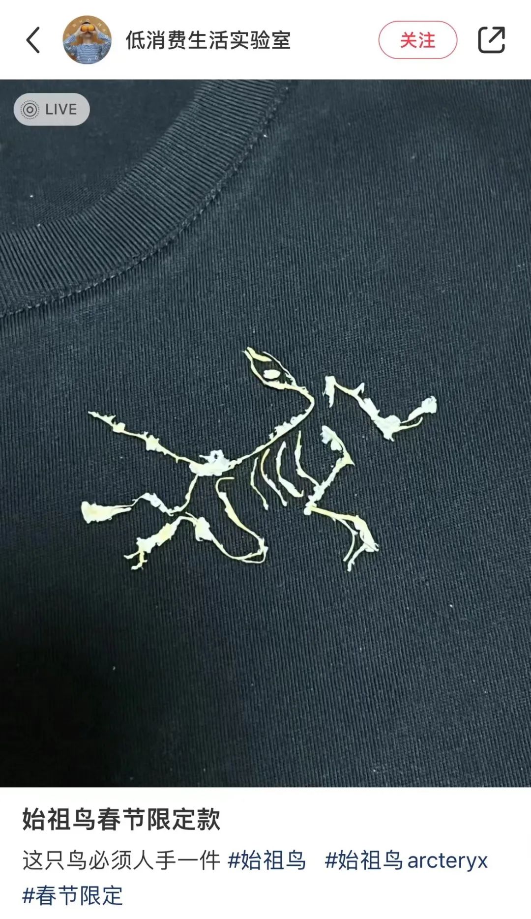 品牌logo-始祖鳥爆改 品牌logo-始祖鳥爆改